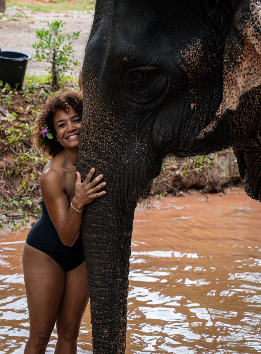 Elephant Trip