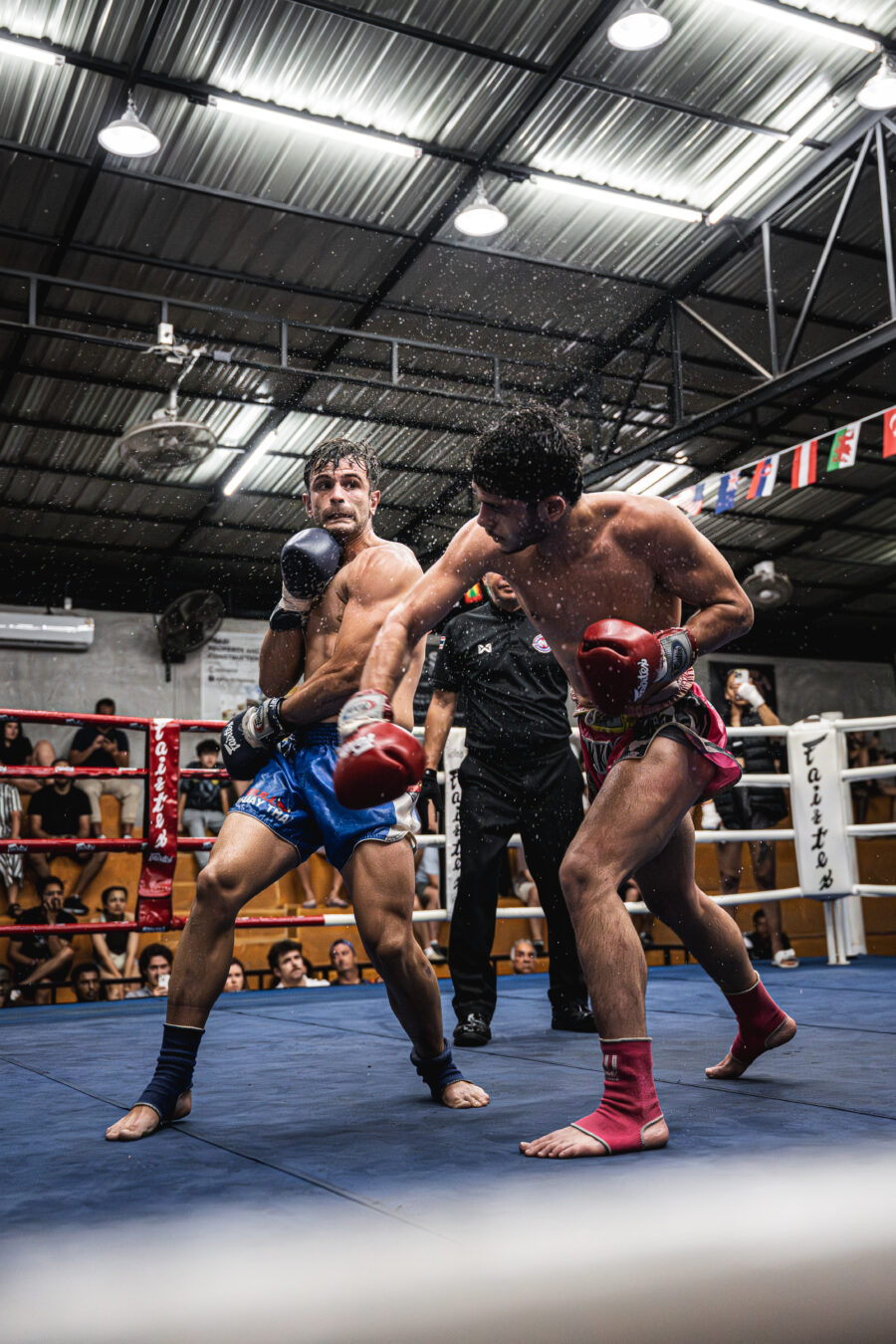 Fight night