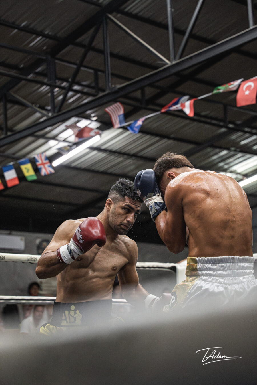 Amir vs Semih