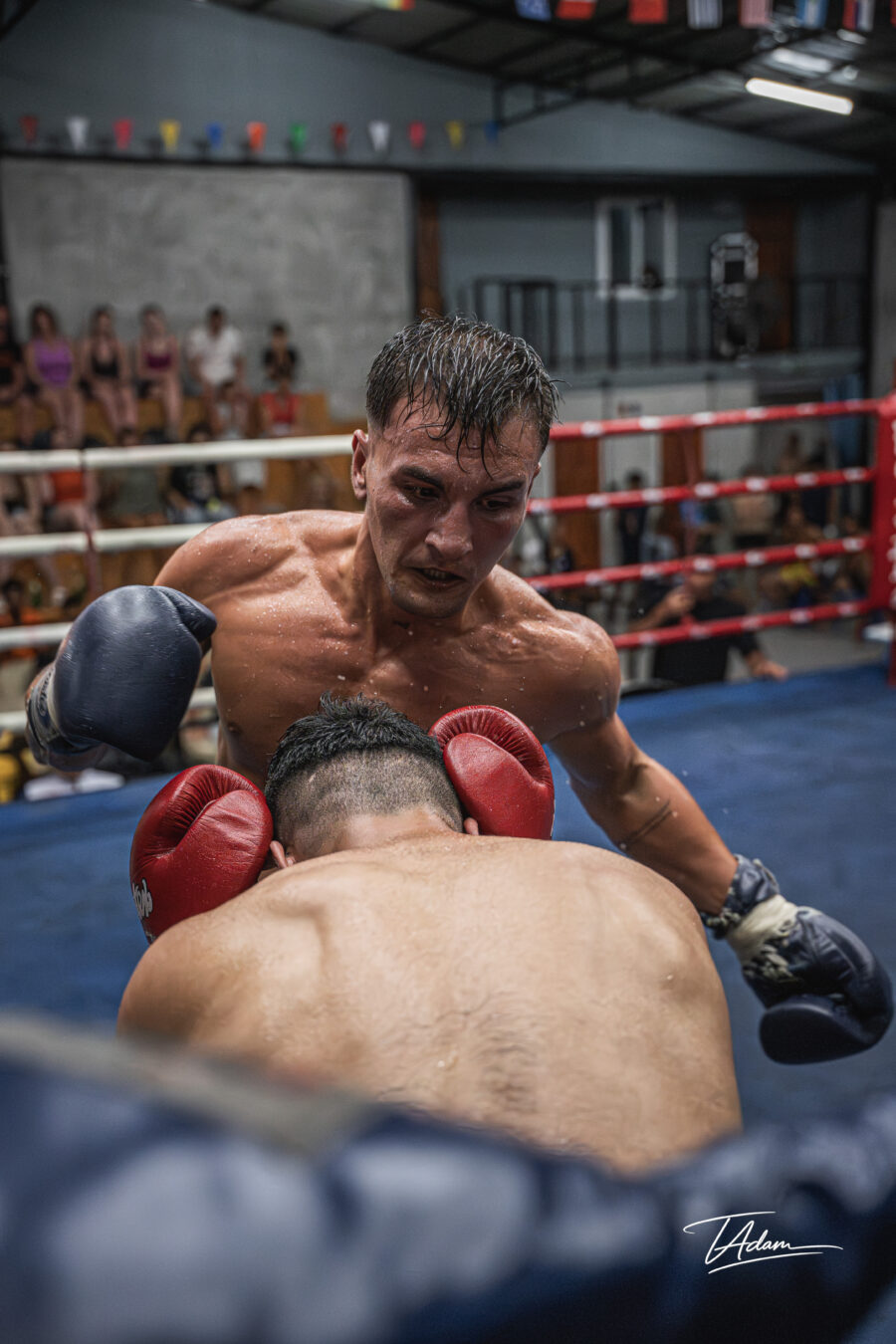 Amir vs Semih