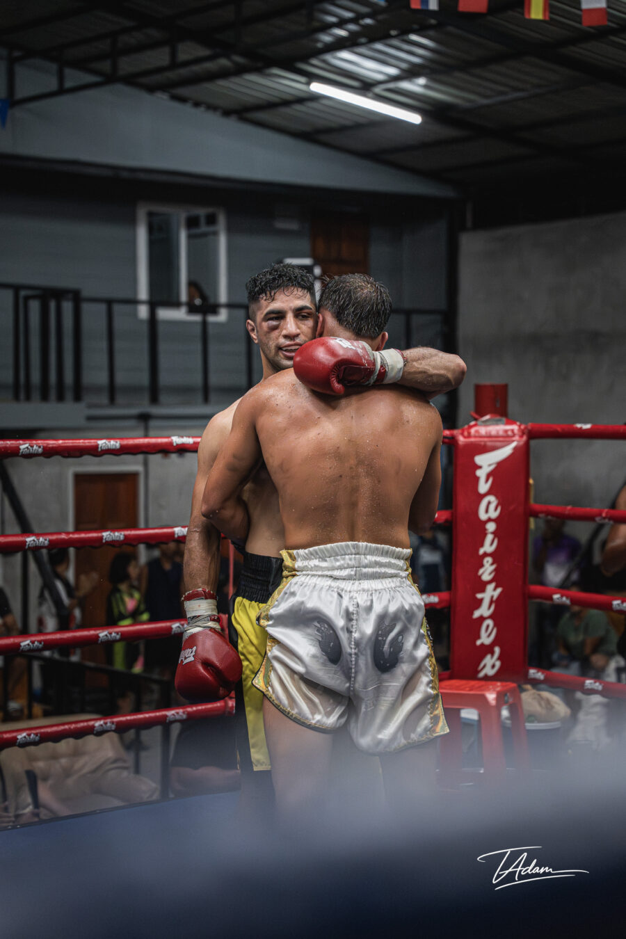 Amir vs Semih